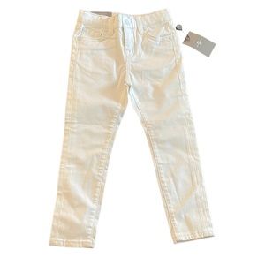 7 For All Mankind The Skinny